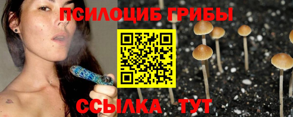 Псилоцибиновые грибы мицелий Алексин